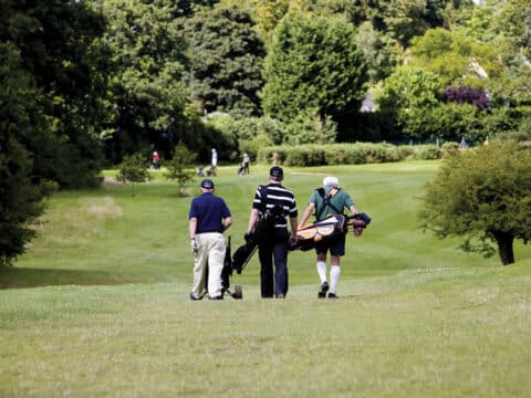 Hampshire golf